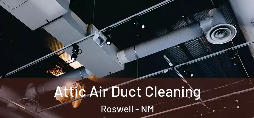 Attic Air Duct Cleaning Roswell - NM