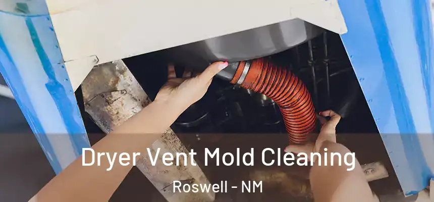  Dryer Vent Mold Cleaning Roswell - NM