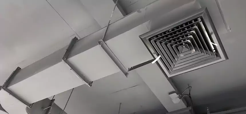 Restorative Allergy Relief Vent Cleaning – Coil, Blower & Housing Detail in Roswell