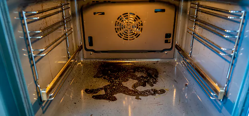 Our Dryer Vent Mold Cleaning Services in Roswell, NM