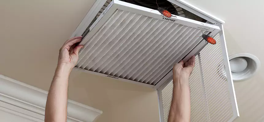 Our Insect Removal from Air Ducts Services in Roswell, NM