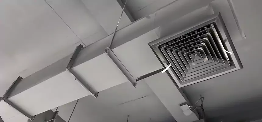 Our Pest Removal From Ducts Services in Roswell, NM