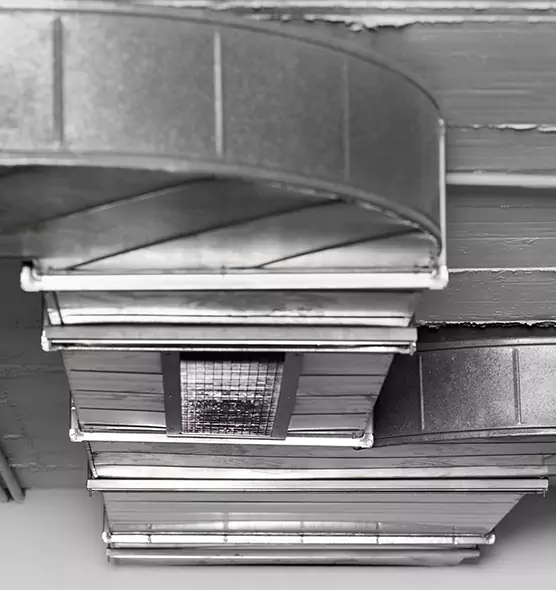 Professional Air Duct Pet Hair Removal in Roswell, NM