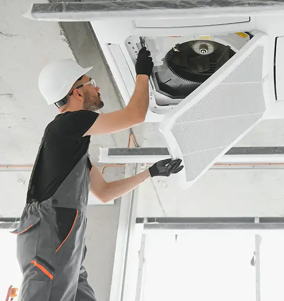 About Air Duct Rodent Removal in Roswell, NM