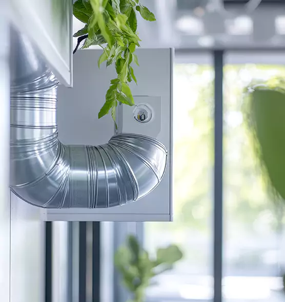 Professional Eco-Safe Dryer Vent Cleaning in Roswell, NM