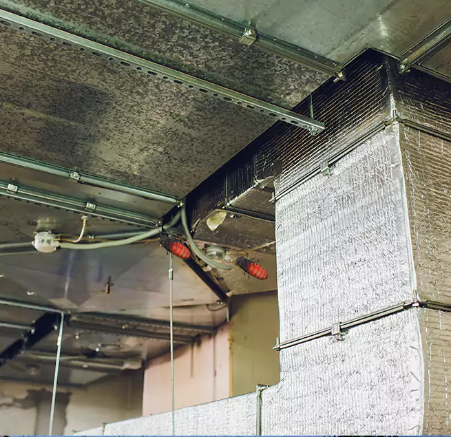 Why Homeowners & Businesses Trust Us in Roswell, NM?