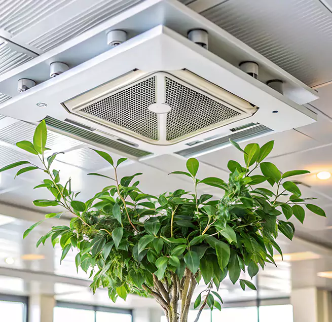 Why Homeowners & Businesses Trust Us in Roswell, NM?